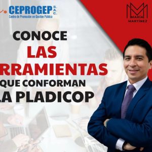 CONOCE LAS HERRAMIENTAS QUE CONFORMAN LA PLADICOP