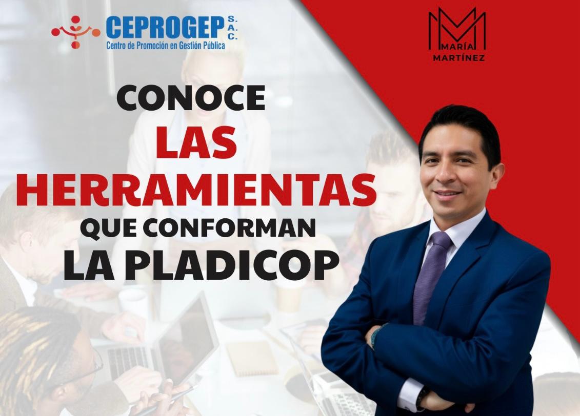 CONOCE LAS HERRAMIENTAS QUE CONFORMAN LA PLADICOP