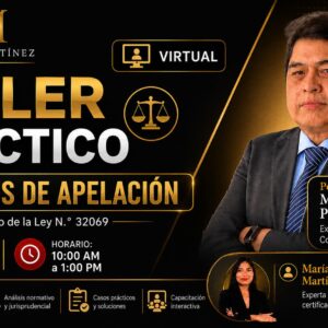 TALLER PRACTICO RECURSOS DE APELACION